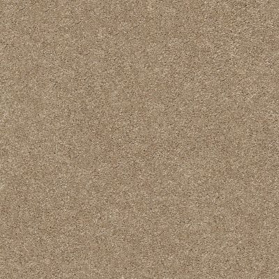 Shaw Floors SFA Fyc Ns Blue Net Falling Leaves (s) 720S_5E020
