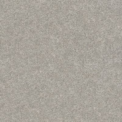 Shaw Floors SFA Fyc Ns Blue Net Back Patio (s) 724S_5E020