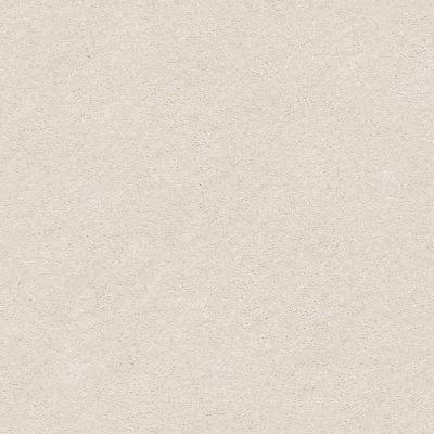 Shaw Floors SFA Fyc Ns Blue Net Subtle Blush (s) 800S_5E020