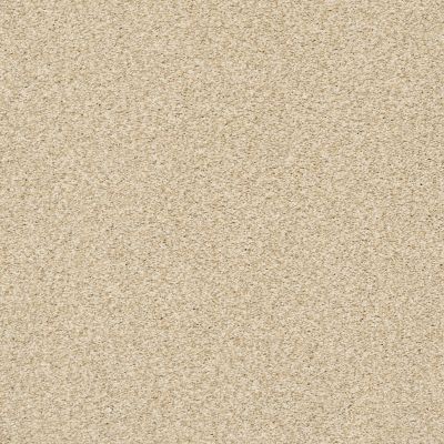 Shaw Floors SFA Fyc Tt I Net Sun Kissed (t) 110T_5E021