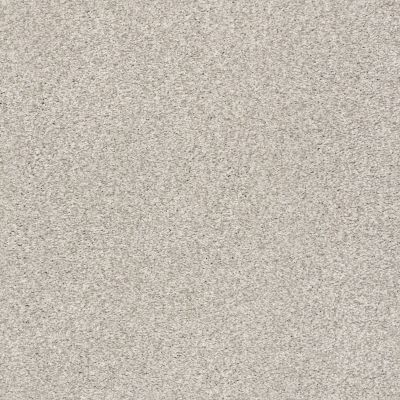 Shaw Floors SFA Fyc Tt I Net Chill In The Air (t) 126T_5E021
