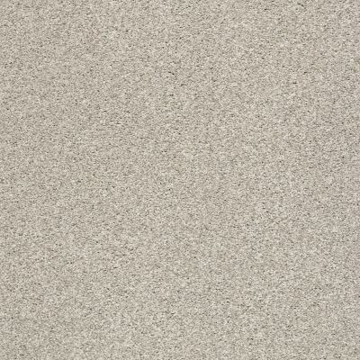 Shaw Floors SFA Fyc Tt I Net Shoreline Haze (t) 128T_5E021