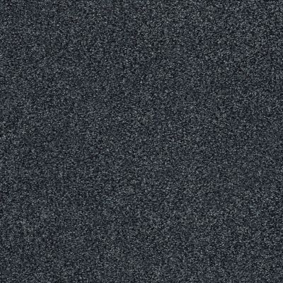 Shaw Floors SFA Fyc Tt I Net Hanging Vine (t) 309T_5E021