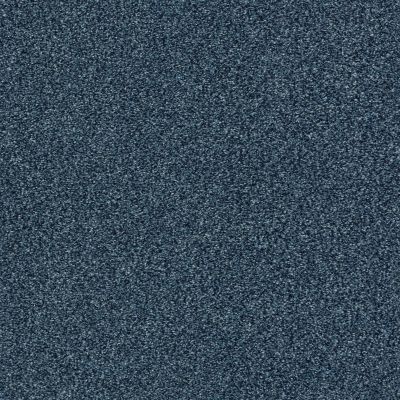 Shaw Floors SFA Fyc Tt I Net Twilight Golf (t) 434T_5E021