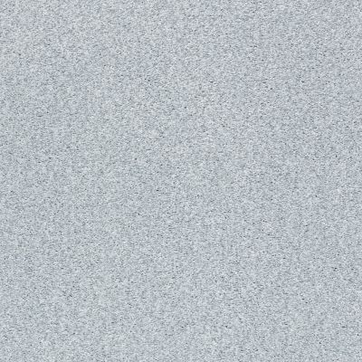 Shaw Floors SFA Fyc Tt I Net Winter Sky (t) 437T_5E021