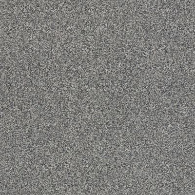Shaw Floors SFA Fyc Tt I Net Lighthouse Shadows (t) 520T_5E021