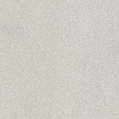 Shaw Floors SFA Fyc Tt I Net Morning Dew (t) 539T_5E021