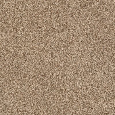 Shaw Floors SFA Fyc Tt I Net Falling Leaves (t) 720T_5E021