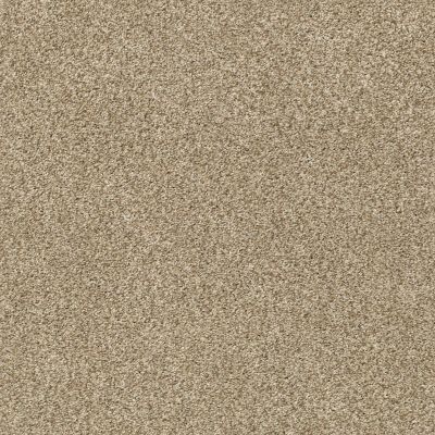 Shaw Floors SFA Fyc Tt I Net Honey Tea (t) 750T_5E021
