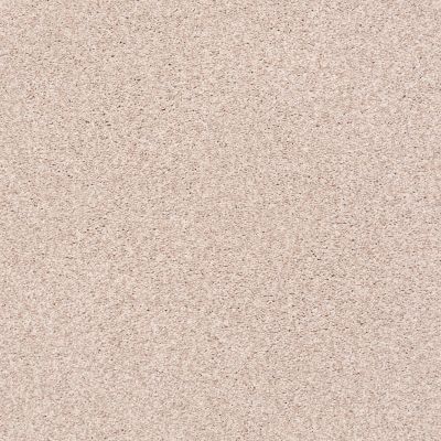 Shaw Floors SFA Fyc Tt I Net Soft Lullaby (t) 801T_5E021