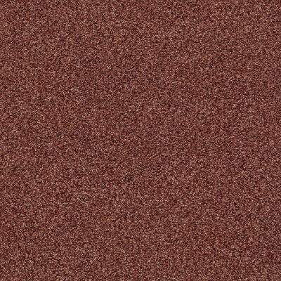 Shaw Floors SFA Fyc Tt I Net Serene Sunset (t) 804T_5E021