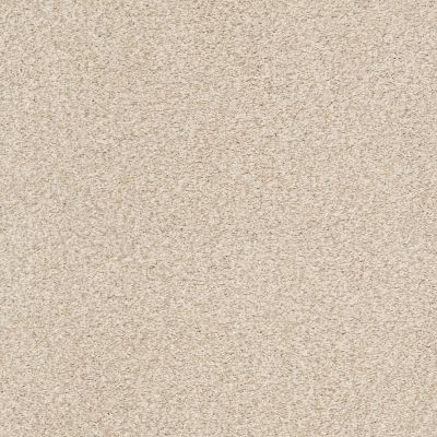 Shaw Floors SFA Fyc Tt II Net Happy Place (t) 123T_5E022