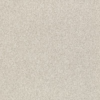 Shaw Floors SFA Fyc Tt II Net Need A Hug (t) 129T_5E022