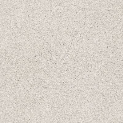 Shaw Floors SFA Fyc Tt II Net Whitewashed Frame (t) 154T_5E022