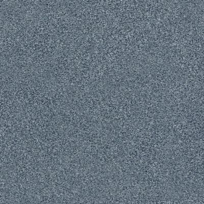 Shaw Floors SFA Fyc Tt II Net Lakeside Retreat (t) 413T_5E022