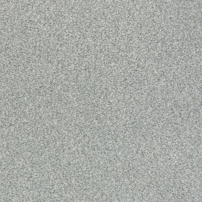 Shaw Floors SFA Fyc Tt II Net Water’s Edge (t) 430T_5E022