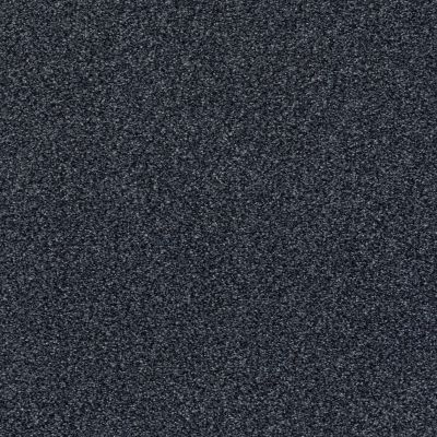 Shaw Floors SFA Fyc Tt II Net Star Gazing (t) 433T_5E022