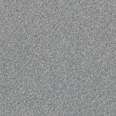 Shaw Floors SFA Fyc Tt II Net Dolphin Sighting (t) 510T_5E022