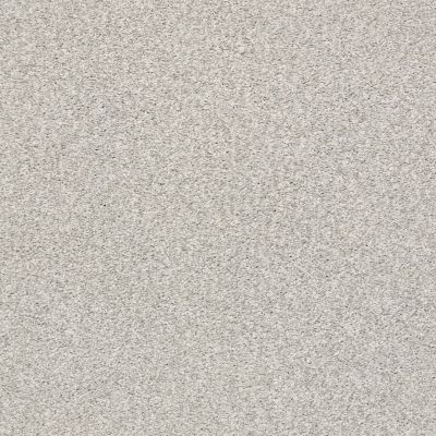 Shaw Floors SFA Fyc Tt II Net Quiet Time (t) 514T_5E022