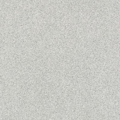Shaw Floors SFA Fyc Tt II Net Bay Waves (t) 522T_5E022