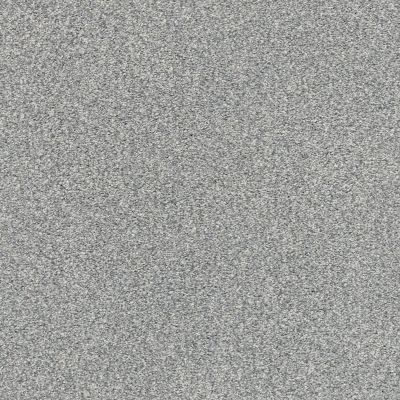 Shaw Floors SFA Fyc Tt II Net Misty Rain (t) 529T_5E022