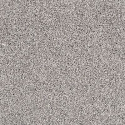 Shaw Floors SFA Fyc Tt II Net Whisper (t) 536T_5E022