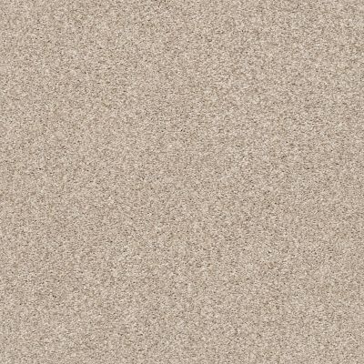 Shaw Floors SFA Fyc Tt II Net My Haven (t) 743T_5E022