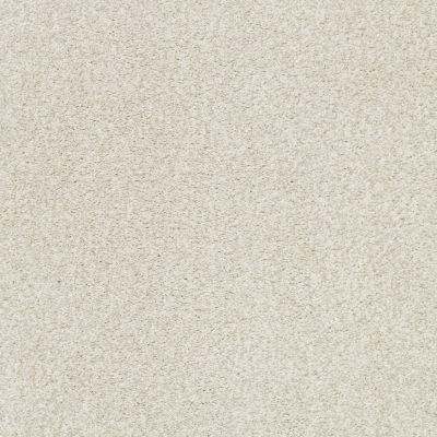 Shaw Floors SFA Fyc Tt Blue Net Vintage Quilt (t) 121T_5E023