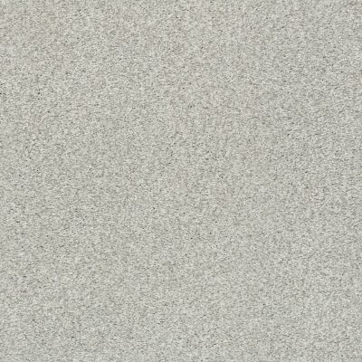 Shaw Floors SFA Fyc Tt Blue Net Chill In The Air (t) 126T_5E023