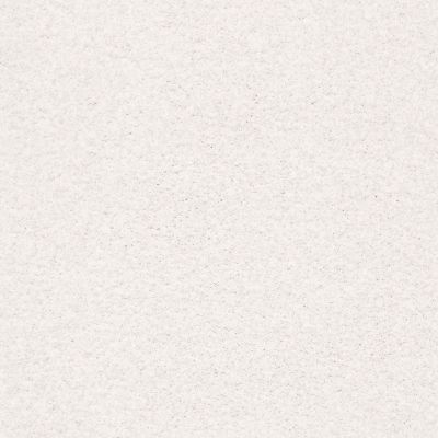 Shaw Floors SFA Fyc Tt Blue Net Wedding Day (t) 150T_5E023
