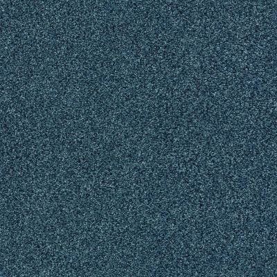 Shaw Floors SFA Fyc Tt Blue Net Twilight Golf (t) 434T_5E023