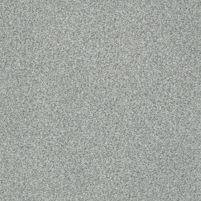 Shaw Floors SFA Fyc Tt Blue Net Restful Day (t) 512T_5E023