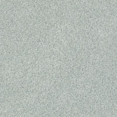 Shaw Floors SFA Fyc Tt Blue Net Refreshed (t) 515T_5E023