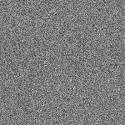 Shaw Floors SFA Fyc Tt Blue Net Lighthouse Shadows (t) 520T_5E023
