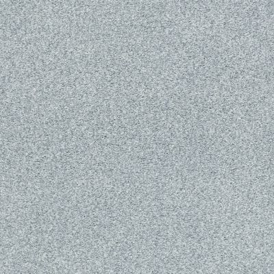 Shaw Floors SFA Fyc Tt Blue Net Polished Silver (t) 538T_5E023