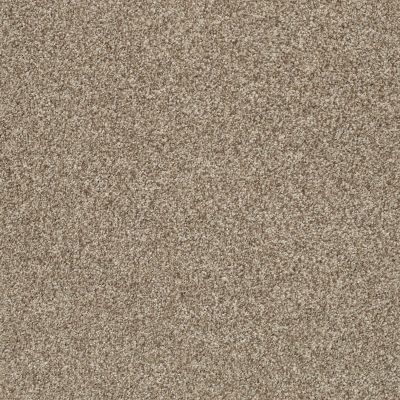 Shaw Floors SFA Fyc Tt Blue Net Camping Trip (t) 749T_5E023
