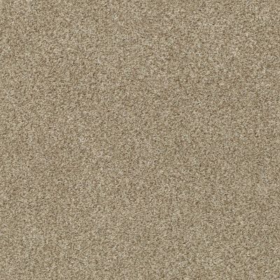 Shaw Floors SFA Fyc Tt Blue Net Honey Tea (t) 750T_5E023