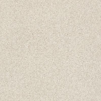 Shaw Floors SFA Fyc Tt Blue Net Subtle Blush (t) 800T_5E023