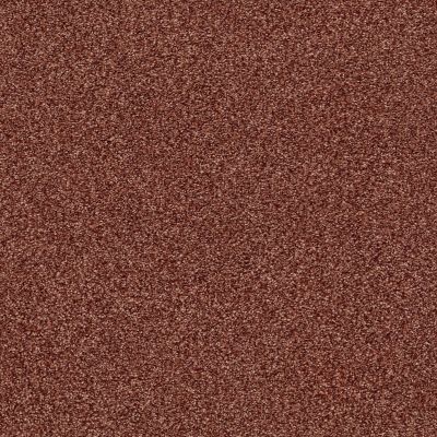 Shaw Floors SFA Fyc Tt Blue Net Serene Sunset (t) 804T_5E023