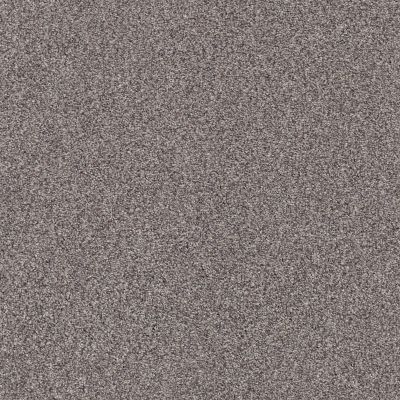 Shaw Floors SFA Fyc Tt Blue Net Lilac Field (t) 901T_5E023