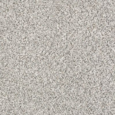 Shaw Floors SFA Fyc Ta I Dk Nat Net True Reality (a) 167A_5E024