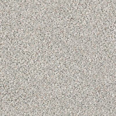 Shaw Floors SFA Fyc Ta I Dk Nat Net Slumber Party (a) 177A_5E024