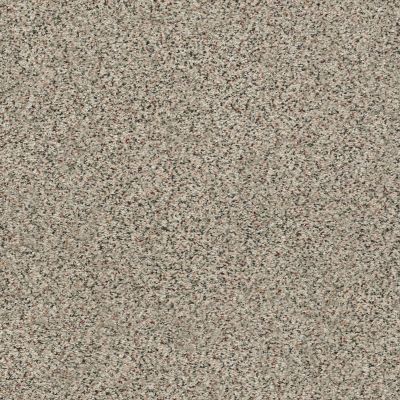 Shaw Floors SFA Fyc Ta I Dk Nat Net Bocce’ Ball Game (a) 178A_5E024