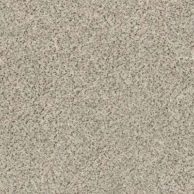 Shaw Floors SFA Fyc Ta I Dk Nat Net Online Date (a) 188A_5E024