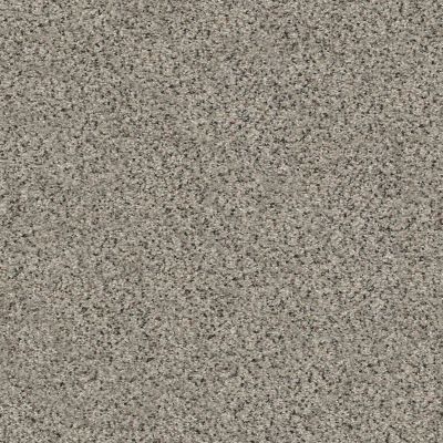 Shaw Floors SFA Fyc Ta I Dk Nat Net Lasting Moment (a) 560A_5E024