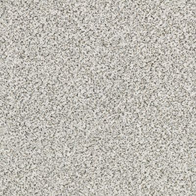 Shaw Floors SFA Fyc Ta II Dk Nat Net I’m Freezing (a) 187A_5E025