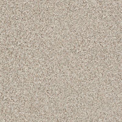 Shaw Floors SFA Fyc Ta II Dk Nat Net Stage Lights (a) 190A_5E025
