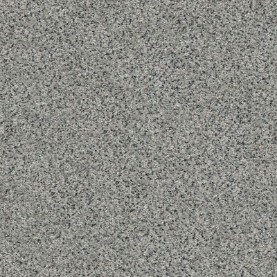 Shaw Floors SFA Fyc Ta II Dk Nat Net Lasting Moment (a) 560A_5E025