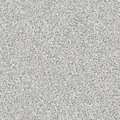 Shaw Floors SFA Fyc Ta Blue Dk Nat Net Glam Up (a) 163A_5E026