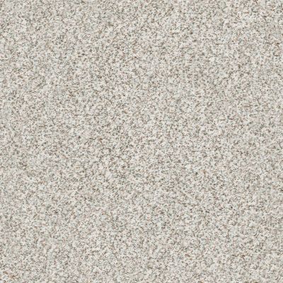 Shaw Floors SFA Fyc Ta Blue Dk Nat Net New Perspective (a) 193A_5E026